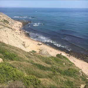 Meet your Posher, Mollie